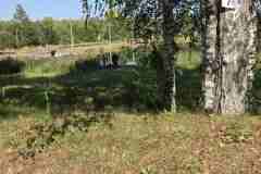 img-459cfa7c092935bad7d4580699965f0e-v