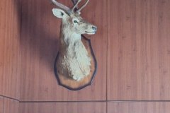 img_20260723_101142_185