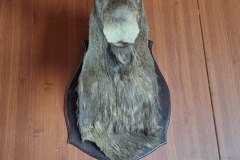 img_20260723_101142_309