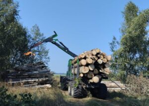 ГПУ «Национальный парк «Припятский».