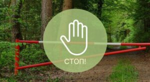 Ограничения на посещение лесов